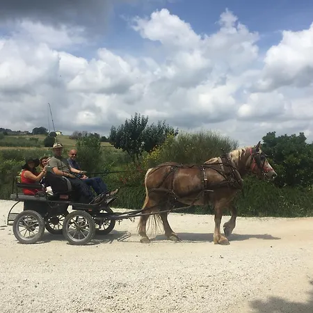 Al Vecchio Pozzo Cannara